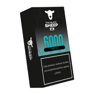 6000